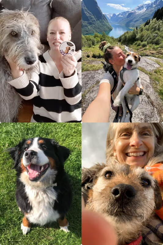How DEWEL Fits Into Your Dog’s Daily Routine? How DEWEL Fits Into Your Dog’s Daily Routine?