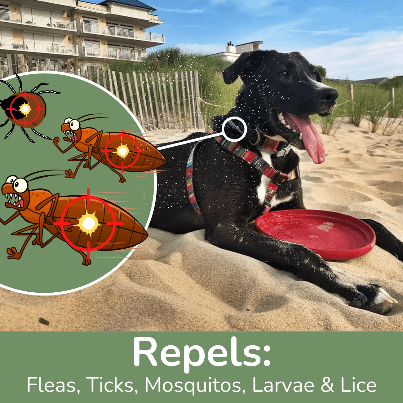 DEWEL Natural Flea and Tick Collar for Dogs — (8-Months Protection)